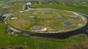 Lofar bij Dwingeloo (foto: archief RTV Drenthe)